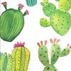 shopcactus